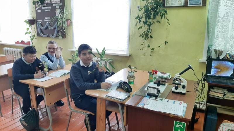 Практическая работа &amp;quot;Вегетативное размножение растений&amp;quot;..
