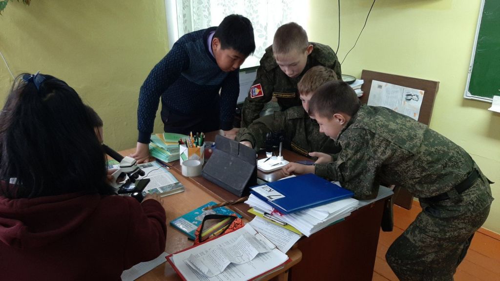 Открытый урок по биологии в 7 класс по теме «Грибы».